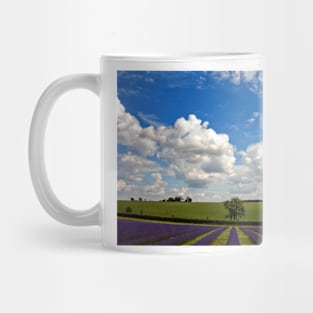 Lavender Field Purple Flowers Cotswolds England Mug